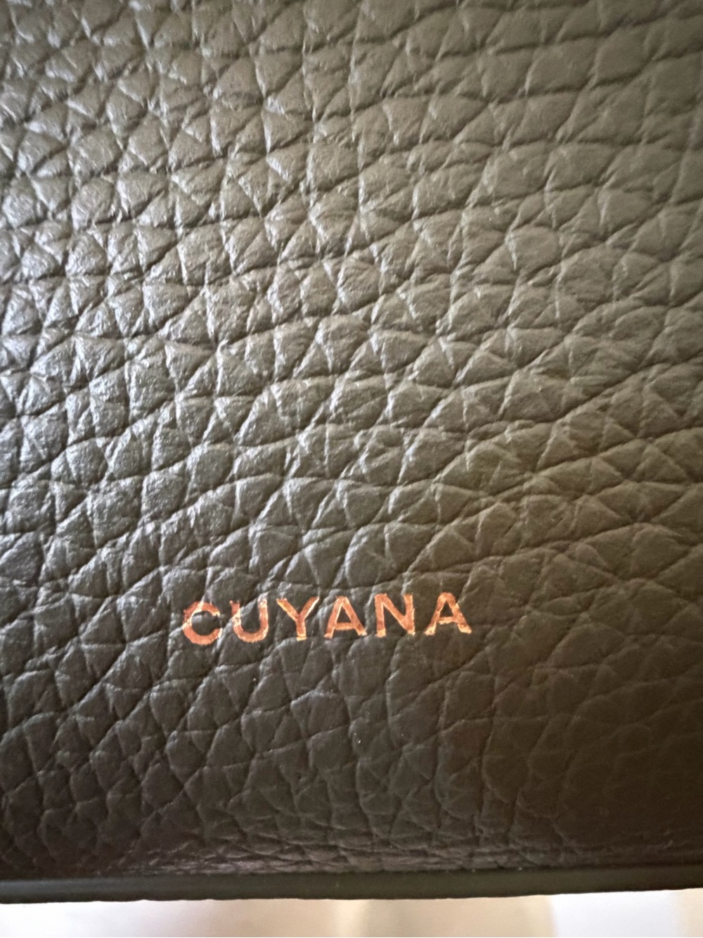 Cuyana Black Pebbled Leather Tote with Gold Logo